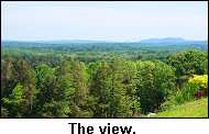 The view.