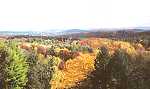 A view in fall.