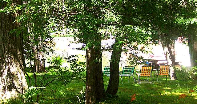 The back yard.