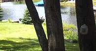 The yard and lake.
