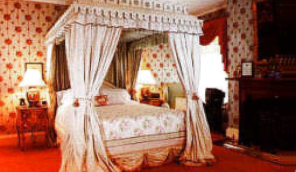 A guest room.