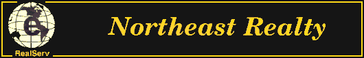 Northeast Realty Logo