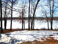Lot shoreline.