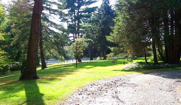 A view of the grounds and pond.