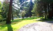 Grounds and Pond.