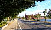 The road, left.