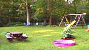 The back yard.