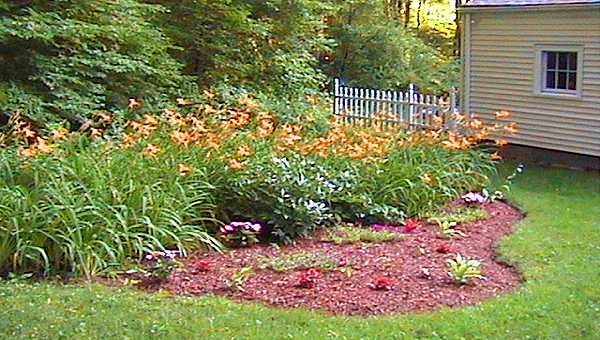 The back yard flower garden.