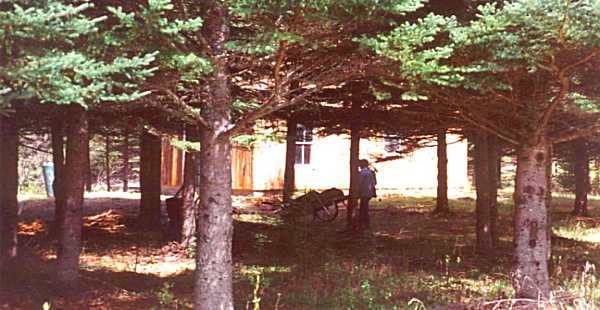 The grounds surrounding the cabin across the river.