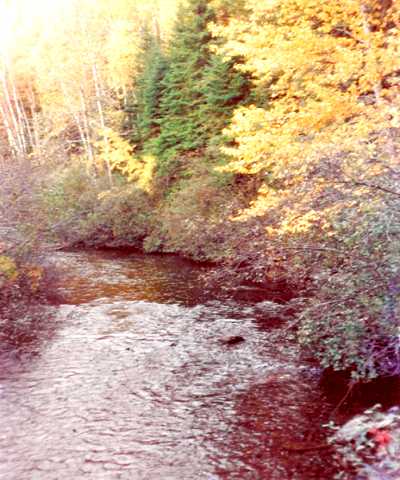 The Birch River.