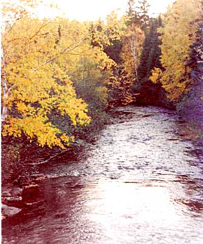 The Birch river runs right through the property - A trout fisherman's heaven which is also good for a cool dip on a hot summer day.