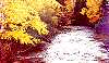 FISH RIVER LAKES AREA - 21 Acres secluded kingdom