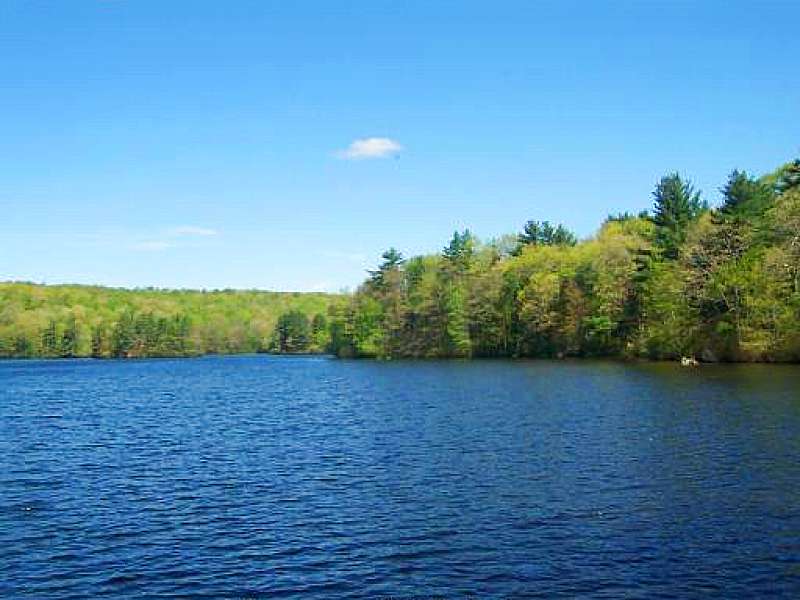 Photo of the lake.