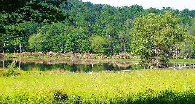 View of open field and pond.