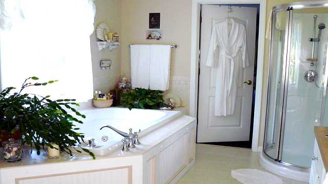 The master bathroom.