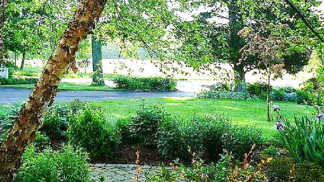 The yard-garden.