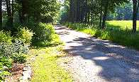 Entrance to Yale Forest.