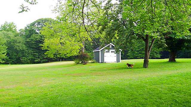 More hillside garden shed.