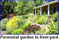 Perennial garden in front of house.