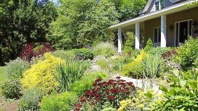 Perennial garden in front of house.