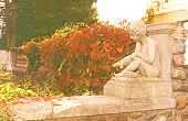 Cherub.