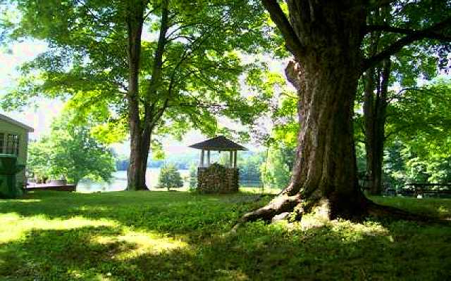 Photos of the property.