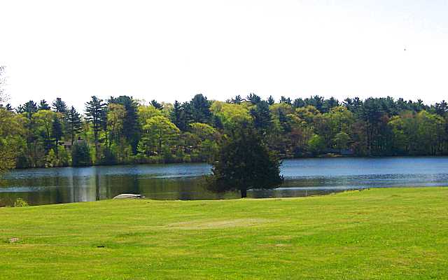 Photos of the property.