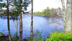 A view of the lake.