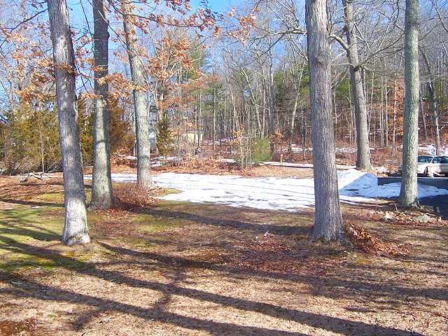 Lot photo and roadway.