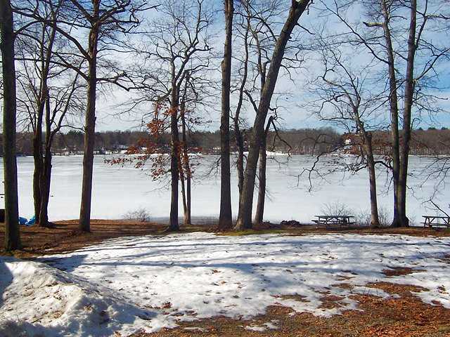 Photo of the lot and shoreline.