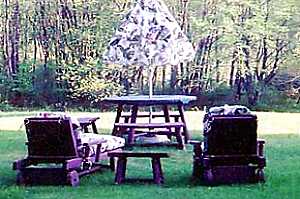 The back yard.