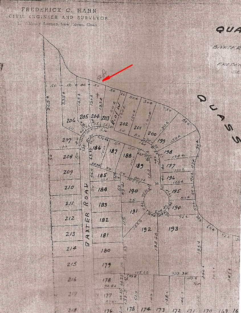 Map of the area and lot layout.