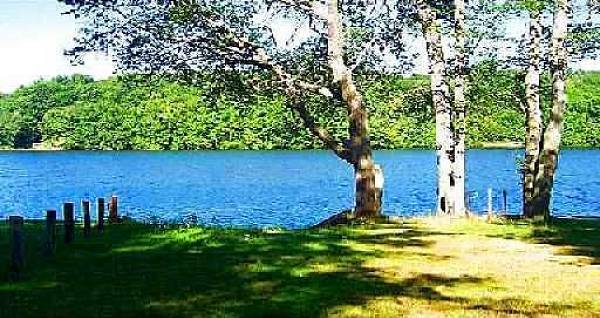 Property photo.